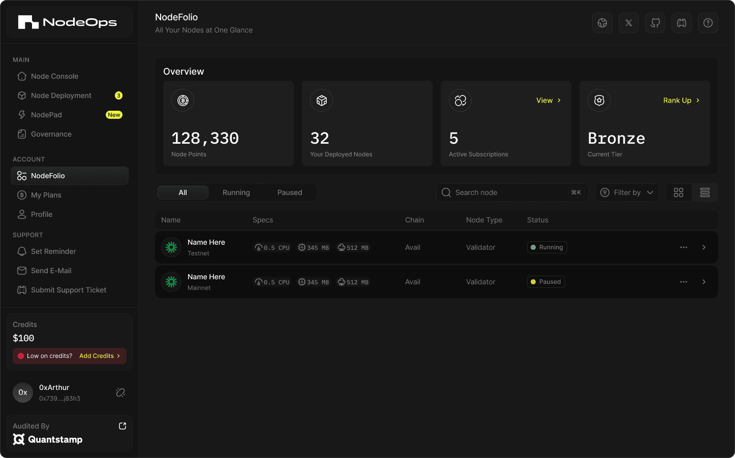The operator’s portfolio: node points, deployed node count and active subscriptions, with each node listed by chain, type and running state.